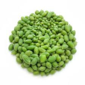 چولیا | ہرا چنا | Green Chickpeas | Cholia