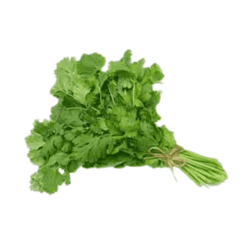 Coriander Leaves | Cilantro | دھنیا |1kg