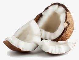 Coconut