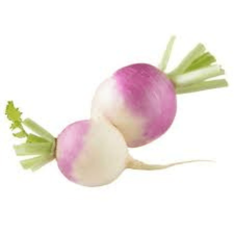 شلجم | Shaljam | Turnip